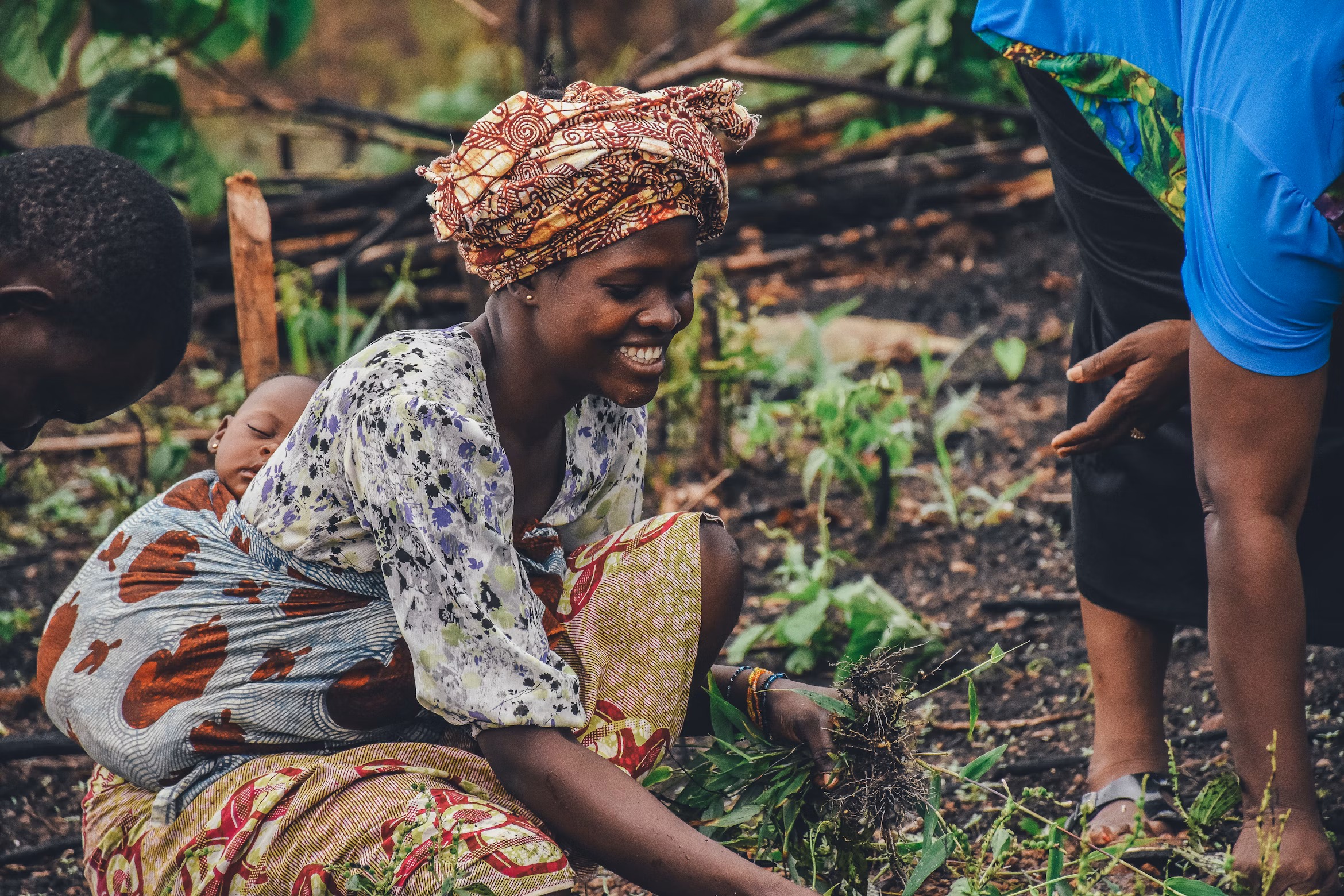 Agriculture in Africa: Potential versus reality